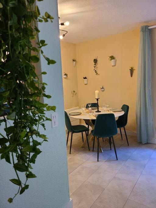 Joli Studio Renove Situe Au Pied Des Thermes Amélie-les-Bains-Palalda Buitenkant foto